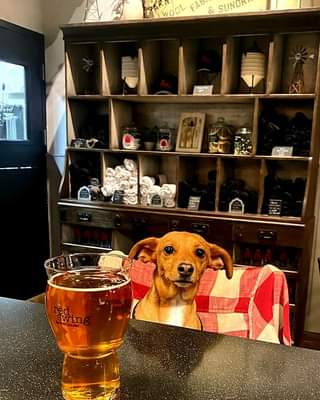 It’s National Pet Day!!  Red Swing Brewhouse is a dog friendly taproom! All well